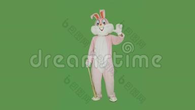 复活节兔子打棒球，在彩色钥匙上拍棒球棒，绿色屏幕。 毛绒复活节兔子真人大小套装或